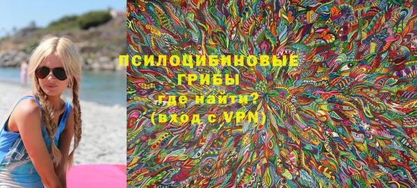 круглые Белокуриха