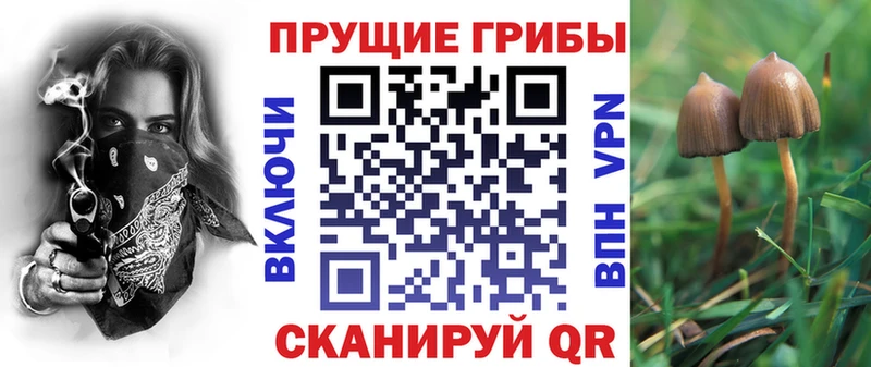Галлюциногенные грибы прущие грибы Полесск